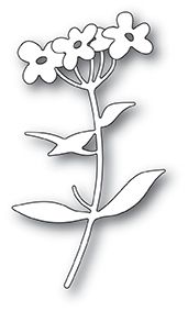 Forget Me Not Blooms Die