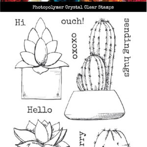 Cactus Greeting