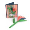 Bird of Paradise