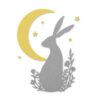 Midnight Hare